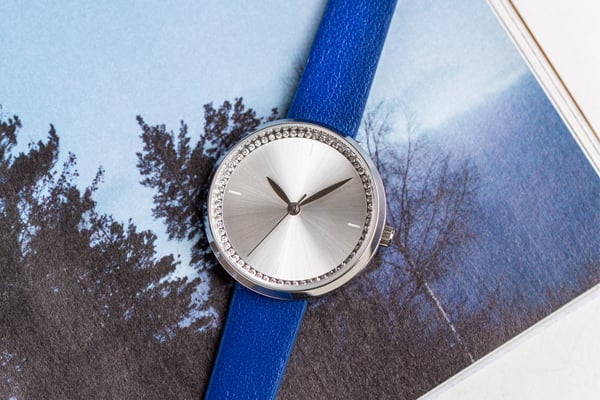 Apple/PU Straps - Vegan Guide